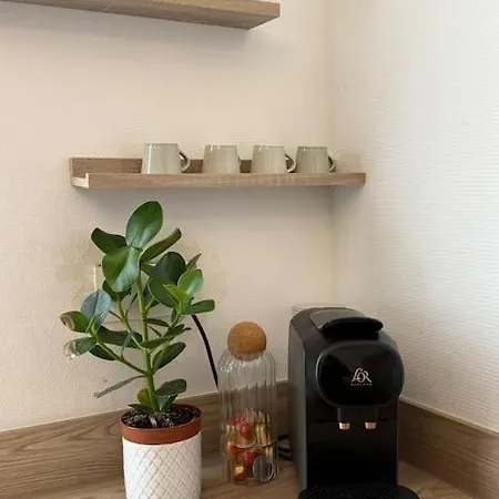 Apartamento Lumineux De 92m2 Colmar