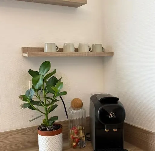 Apartman Lumineux De 92m2 Colmar